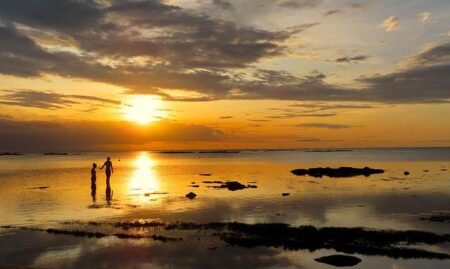 Mauritius Ends Social Media Ban ahead of Elections – Human Rights Watch