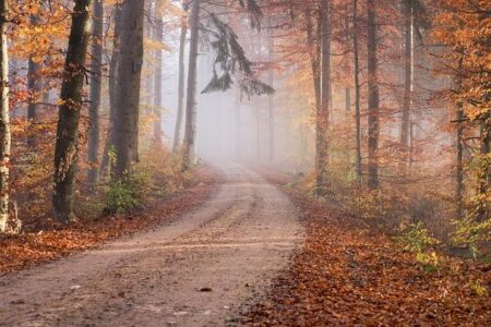 Burundi: Electricity from the Rusumo Falls power station, built with support from the African Development Fund, is saving the lives of hospital patients and premature babies – African Development Bank