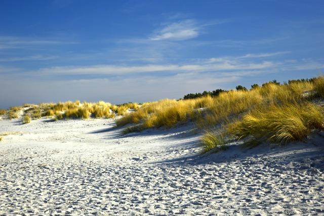 Recommendations for Strengthening Coastal Safety and Migrant Protections