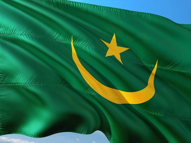 Key Areas for Mauritania's Leadership in Global Peace and Security