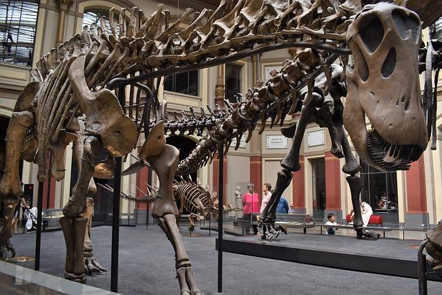 Implications for Paleontology: What This Find Means for Understanding Prehistoric Life