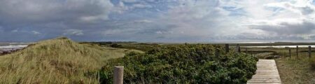 Inside the grogue wars of Cabo Verde – The Conversation