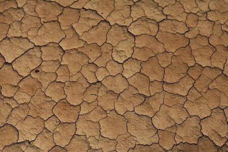 World News in Brief: ‘Historic drought’ in southern Africa, human rights in Tunisia, accountability essential for Pakistan mineworker killings – UN News