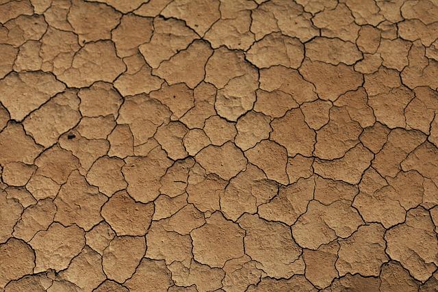 World News in Brief: ‘Historic drought’ in southern Africa, human rights in Tunisia, accountability essential for Pakistan mineworker killings – UN News