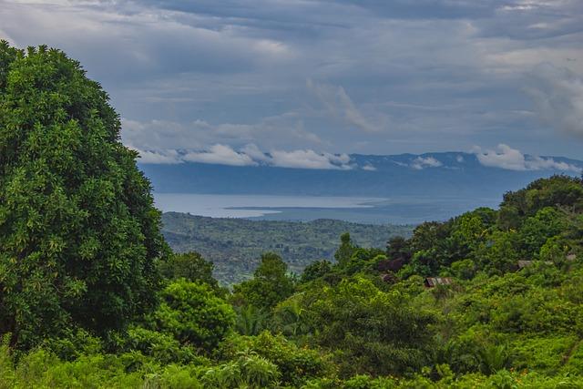 DR Congo: East and southern African leaders urge immediate ceasefire after summit – BBC.com