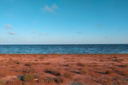 Azerbaijan-Somalia relations: Path to deeper co-op with African states – AzerNews.Az