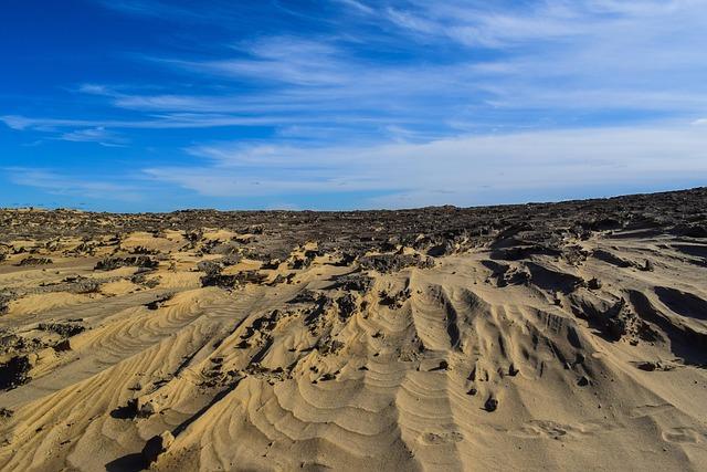 Understanding the Concept of shifting Baselines in Marine Ecology