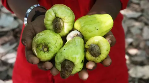 Getty Images A farm worker holding cashew fruits, with cashew nuts growing from beneath them