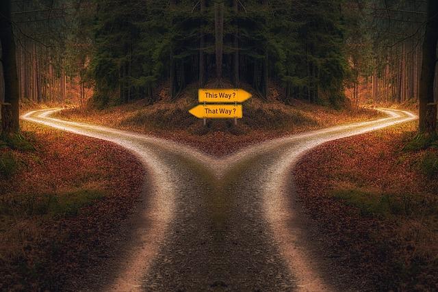 Future directions: Expanding Opportunities and Sustaining growth