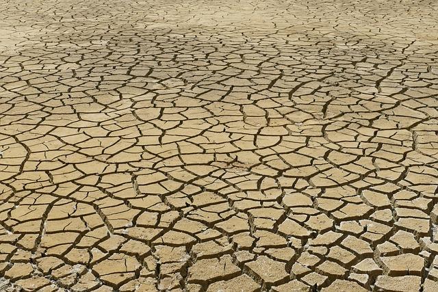 Assessing the Impact of Climate Change on Agriculture and Food Security