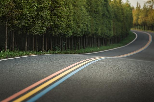 The Road Ahead: enhancing Safety Through Informed Reporting