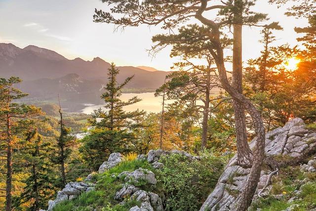 Adventure Activities: Hiking, Diving, and Ecotourism opportunities