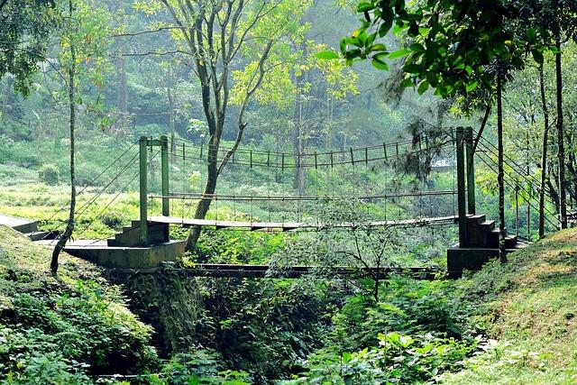 USI Engineers Collaborate on Innovative Pedestrian Bridge Project in eSwatini