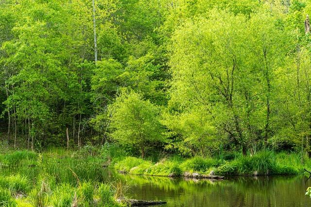 Innovative Techniques for water Conservation and Management