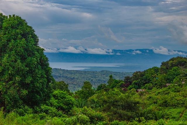Tragic Loss of Life: Understanding the Recent Attacks on Christians in North-Eastern D. R. congo