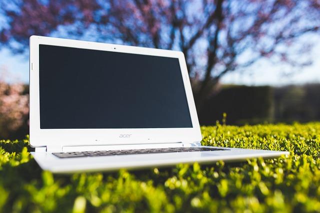 Addressing the Digital Divide: Bridging Access to Connectivity Across Urban and Rural Areas