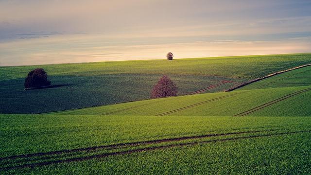 Exploring the Economic Implications of land Reclamation