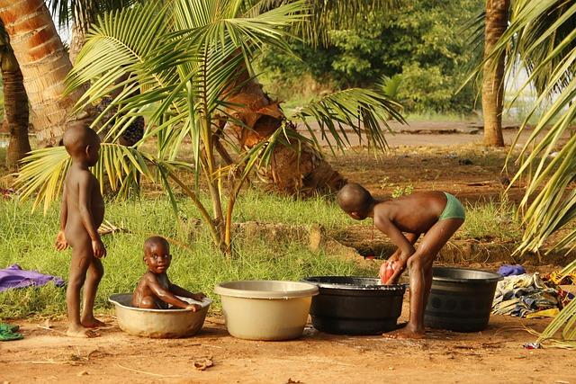 Case Studies: Successful Integration Practices from Benin and Beyond
