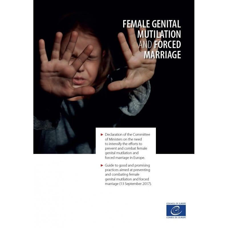 Healthcare Perspectives on Female Genital Mutilation and Women's Rights