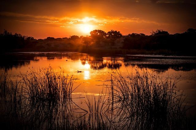 Planning the Perfect Itinerary for South Africa and the Seychelles