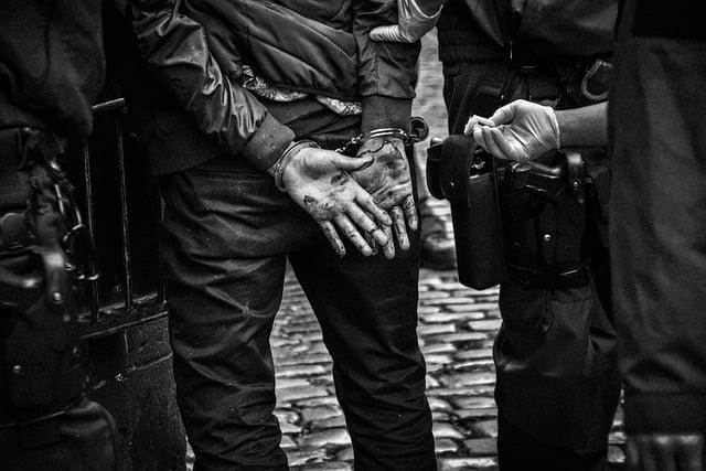 Profiles of Those Arrested: Voices Behind the Numbers