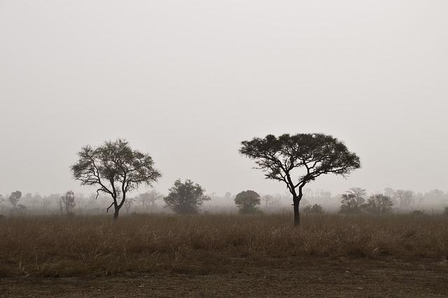 Exploring Benin's Role in the ‍Transatlantic Slave Trade