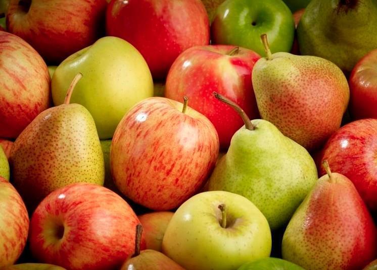 Logistical Hurdles Faced by South African Apple exporters