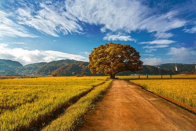 south Korea and Tanzania Forge Partnership for Geoscientific Research