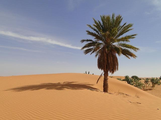 Mauritania: Migrants face round-ups, arrests and deportations - InfoMigrants