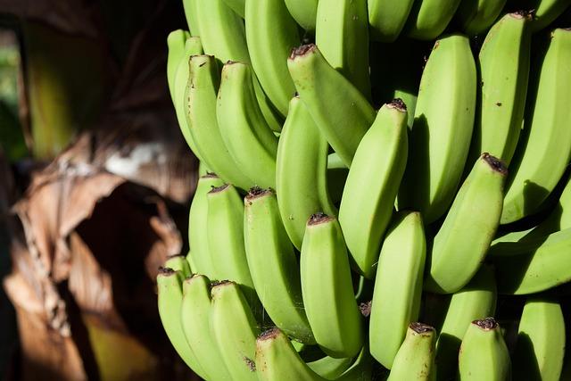 Understanding MUSA's Innovative Features and Benefits for Small Businesses