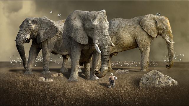 Travel Tips for an Unforgettable safari Adventure: What to know Before You Go