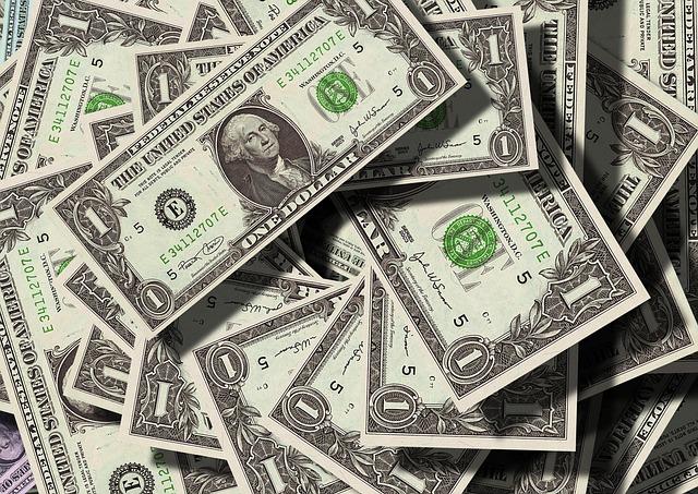 Strategies for Dollar Stores: Capitalizing on New Customer Demographics