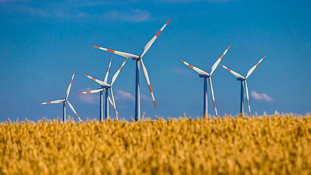 Future Prospects for Sustainable Agriculture in the Region
