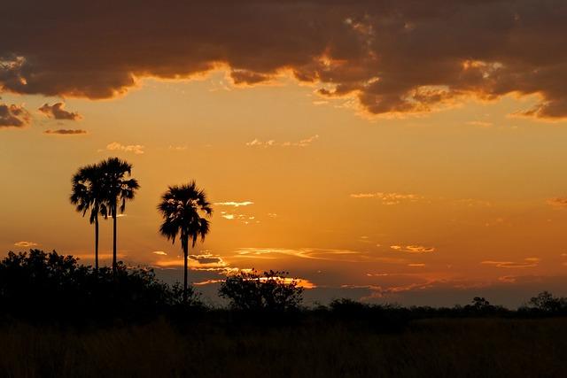 The Economic Implications ‌of Botswana's ⁤election on International Trade