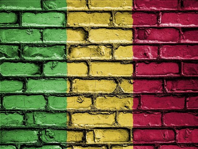 Mali Withdraws from the Organisation Internationale de la Francophonie Amid Shifting Alliances – Medafrica Times