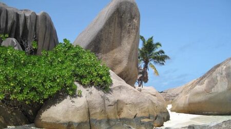 Seychelles and Brazil to look into widening areas of bilateral cooperation – africa.com
