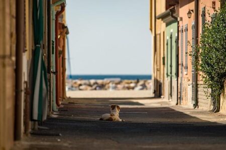 Italy’s Mattei Plan welcomes five new African nations – Decode39