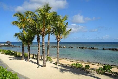 Why Mauritius, Africa’s Most Overcrowded Island, Remains a Dream Destination Despite Its Challenges Why is Mauritius, Africa’s Most Overcrowded Island, Still a Dream Destination for Tourists? Exploring the Challenges of Popular Spots Like Le Morne Beach and Black River Gorges – Travel And Tour World