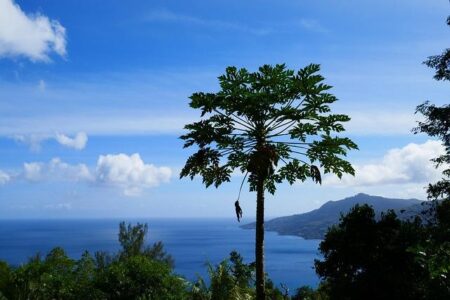 8 Reasons Why March Is The Best Time To Visit Seychelles – Travel Noire