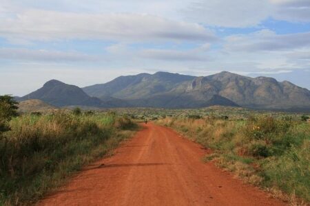 Uganda: the quiet power in the eastern DRC conflict – RFI English