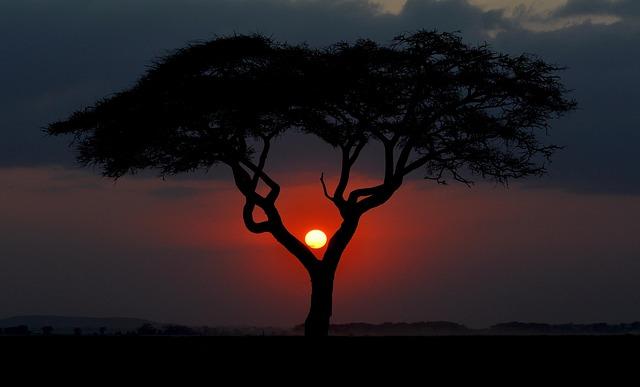 Kenya – Mace Group