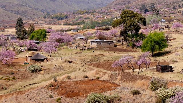 ‘A country nobody has ever heard of’: Trump’s remark alarms Lesotho workers – FRANCE 24 English