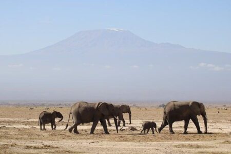Kenya recognises Kosovo as independent state – The East African