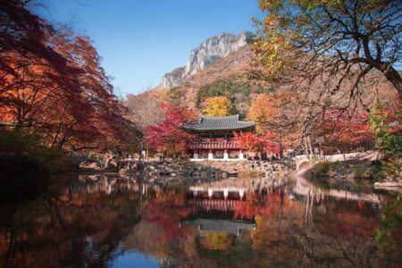 South Korea, Tanzania to conduct joint geoscientific research – African Mining Market
