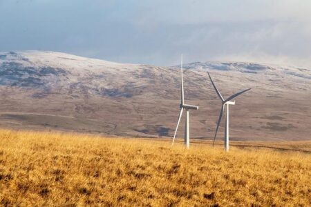 Payhippo Rebrands as Rivy, Secures $4M Pre-Series A to Drive Clean Energy Access – https://www.techafricanews.com/