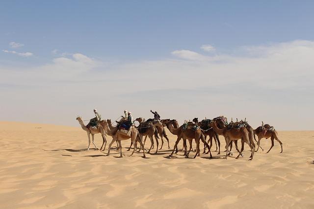 Chad to end security cooperation with France – DW (English)