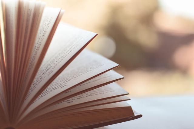 Future Prospects for Blockchain Literacy in African Communities