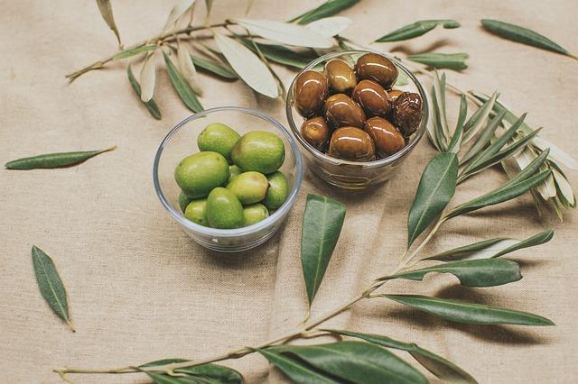 The Role of Olive Groves in the Region's Ecosystem