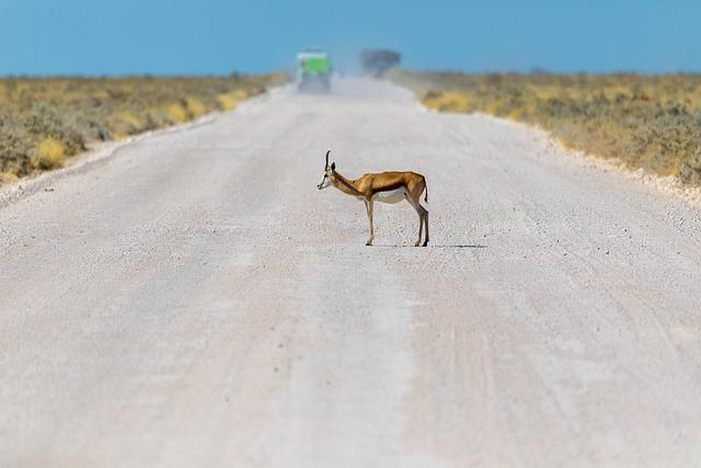 Evaluating Namibia's Leadership in Global Tourism Strategies