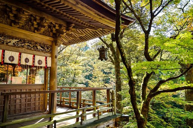Japan's‍ Strategic ‍Partnership with WFP: Enhancing Water‌ Security ‌initiatives